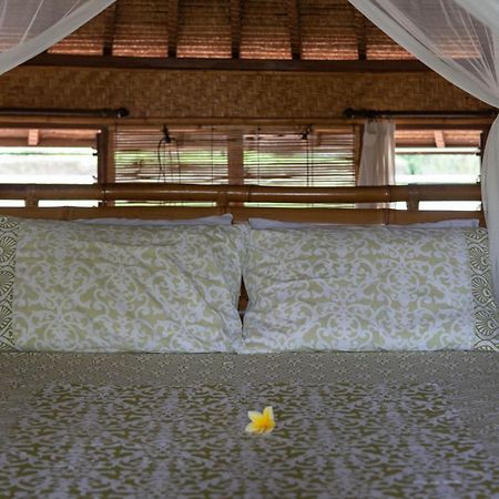 Bali Firefly Bnb Ubud Szoba fotó