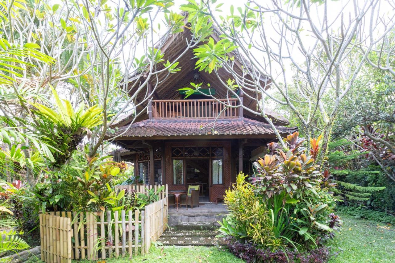 Bali Firefly Bnb Ubud Kültér fotó