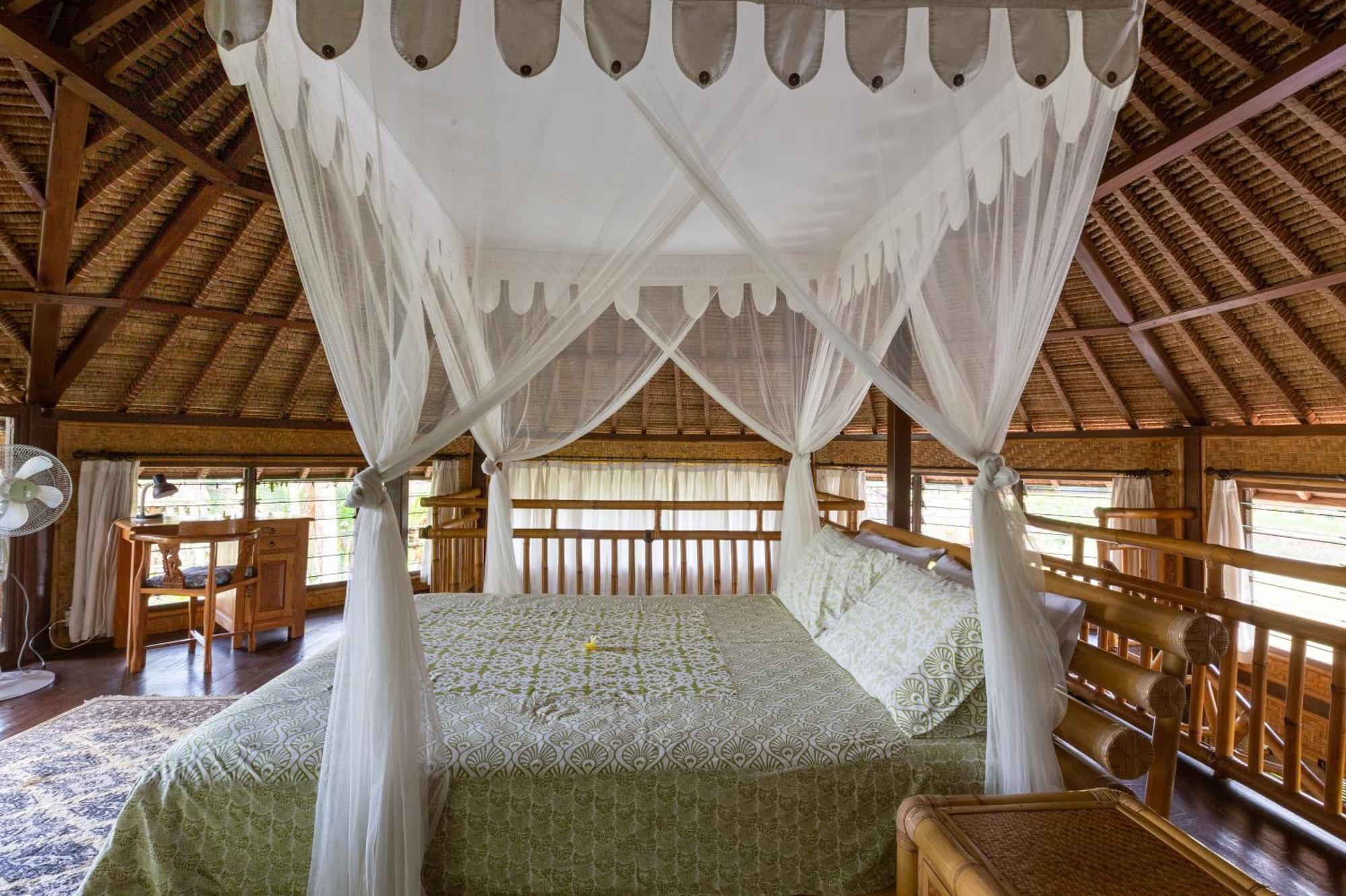 Bali Firefly Bnb Ubud Szoba fotó
