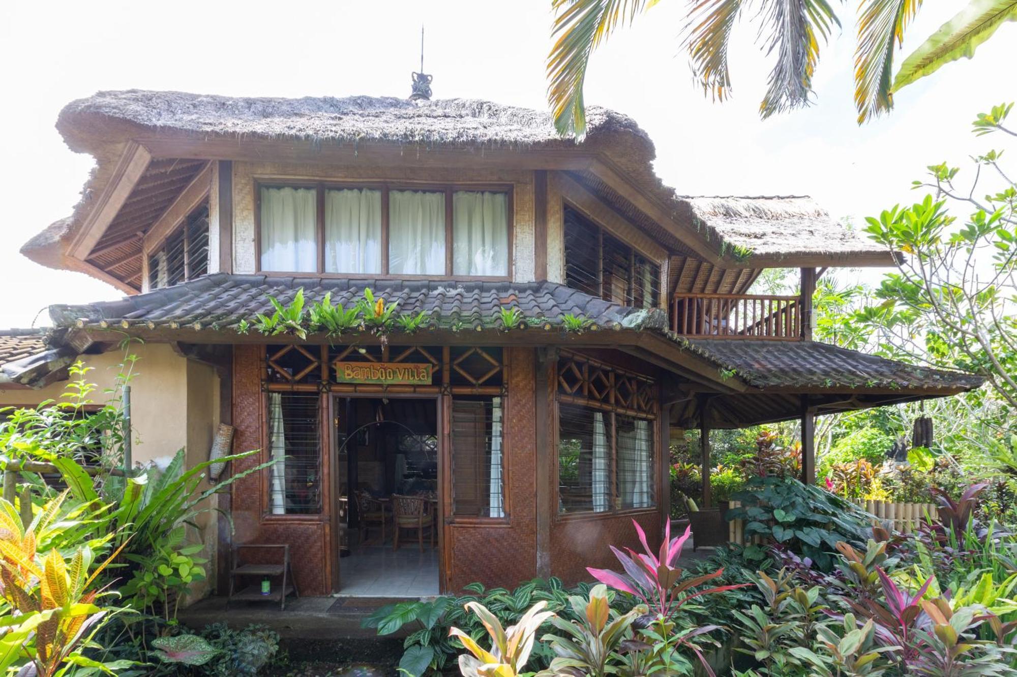Bali Firefly Bnb Ubud Szoba fotó