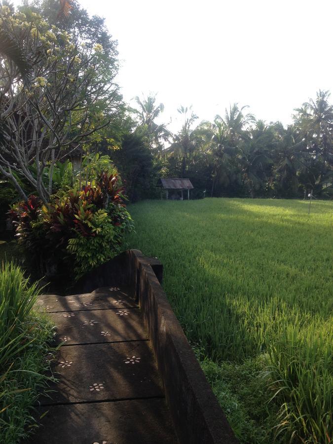 Bali Firefly Bnb Ubud Kültér fotó