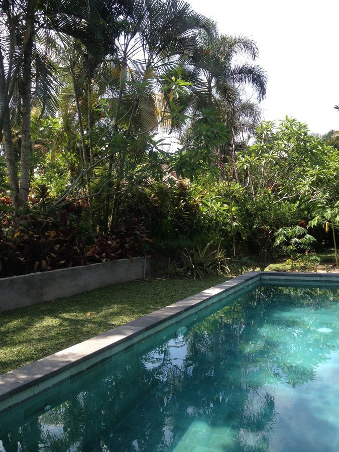 Bali Firefly Bnb Ubud Kültér fotó